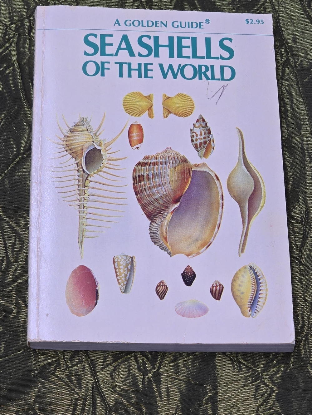 A Golden Guide ~ Seashells of the World 1962 Vintage Illustrated Paperback